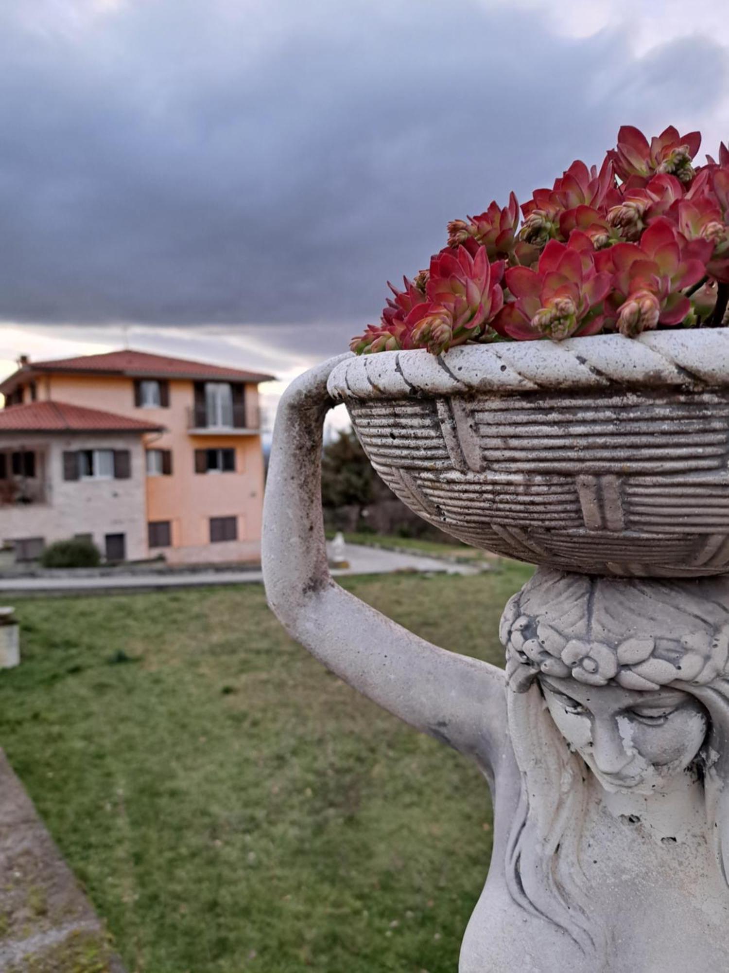 La Casa Di Mezzo-Affitti Brevi-Zona Ospedali Villa Busso Exterior foto